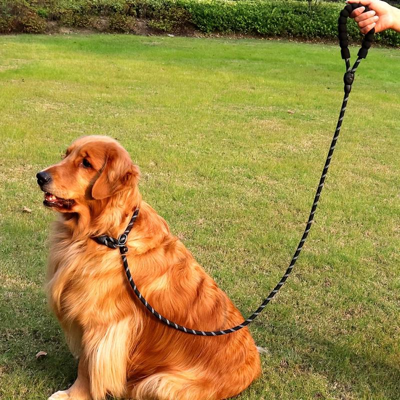 TAIAN Strong 5FT Nylon Dog Leash – Heavy Duty Leash For Small, Medium & Large Dogs