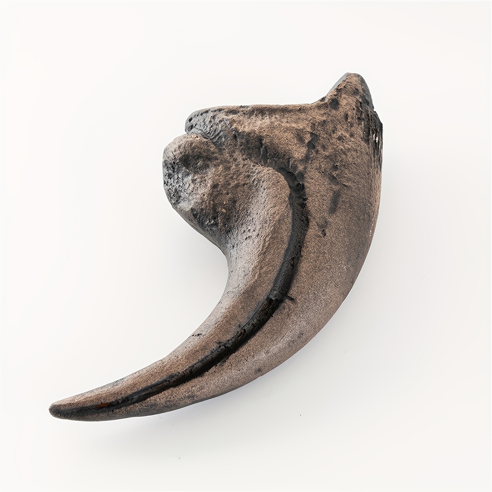 E-shop Sammelfigur, . Harz-Dekor Dinosaurierkralle-Knochen – Realistisches schwarz-braunes Tier-Skelett-Ornament für Halloween, Valentinstagsgeschenk