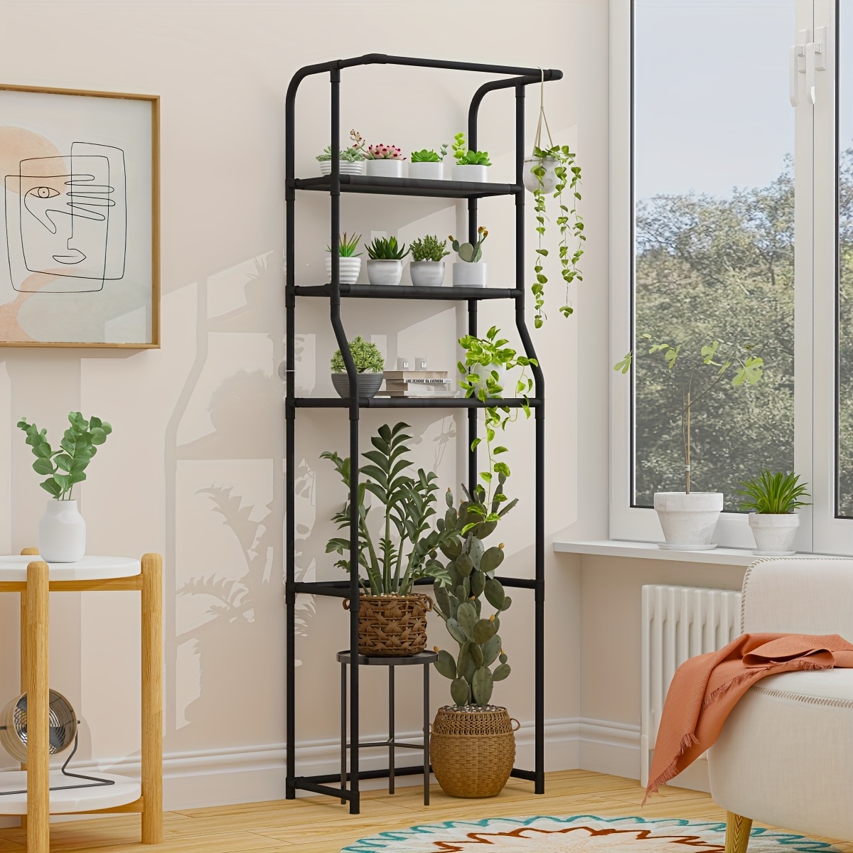 where can i buy pothos plants Pothos 'Green Queen'