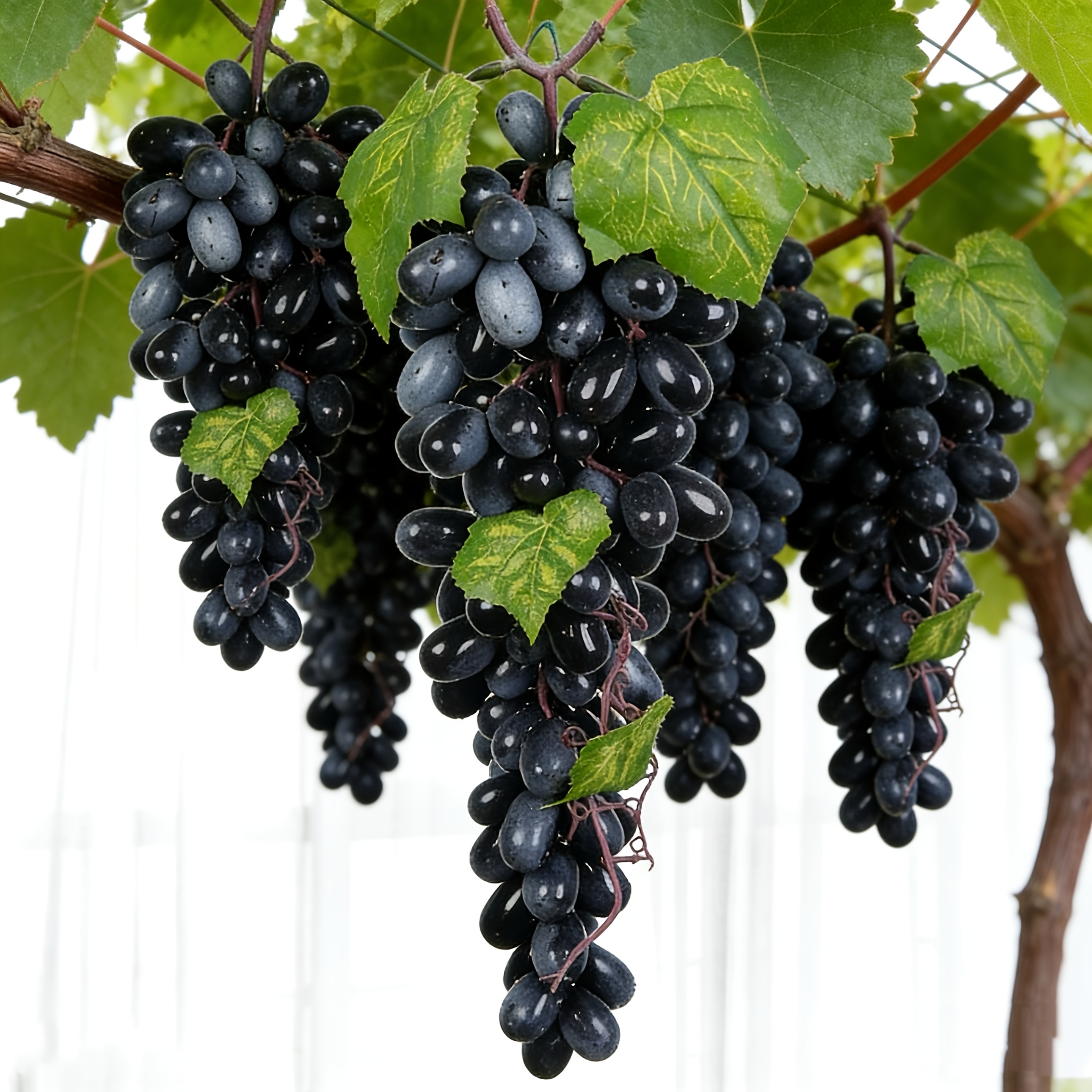 2pcs large size   grapes high simulation decorative props for photography and   hanging decorations