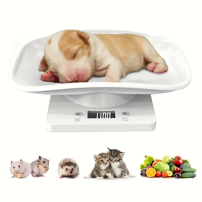 cute cartoon pet   weight scale battery powered   abs material for home use details 3