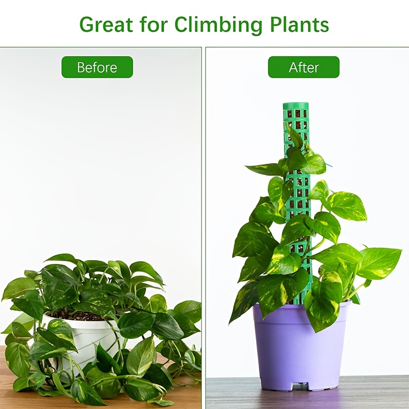 potting mix for indoor plants Houseplant Soil main image 0