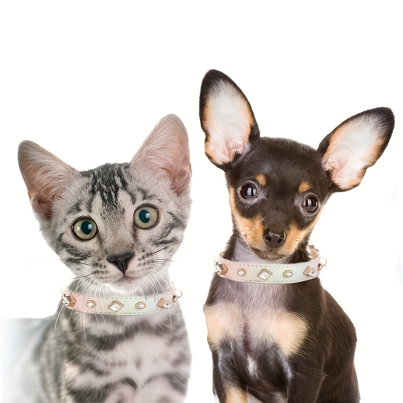 Leder-Hundehalsband Mit Nieten – Für Kleine & Mittelgroße Hunde, Verstellbar, Inkl. D-Ring