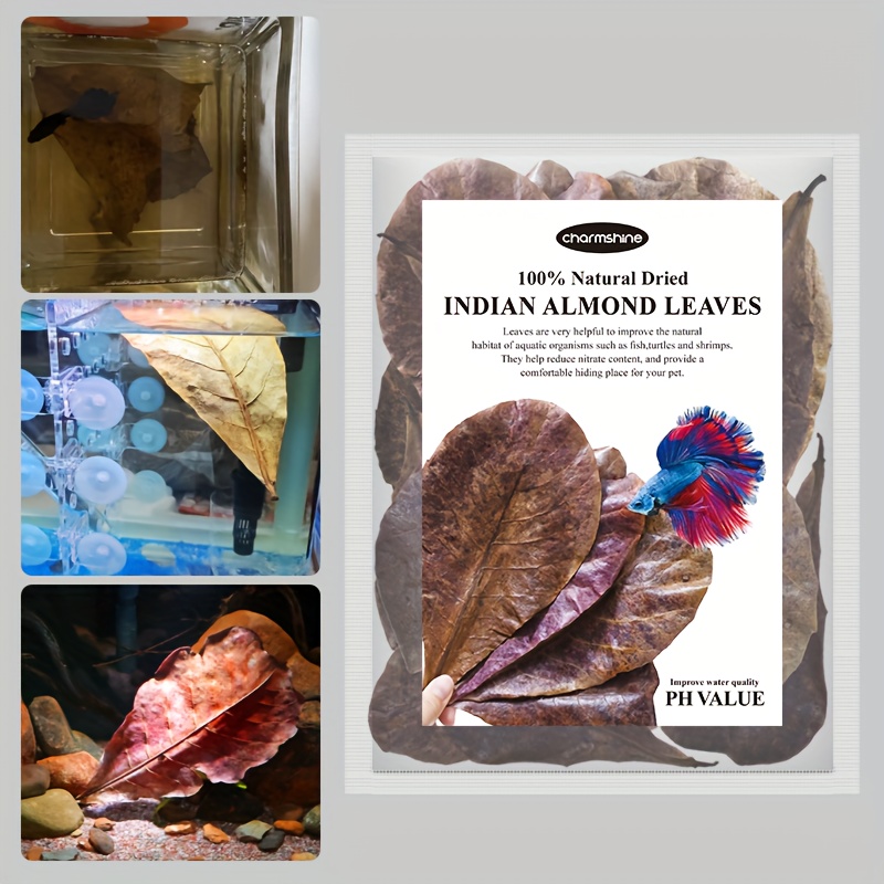 10 pack natural dried     leaves for aquarium premium indian almond leaves enhances water quality lowers ph antibacterial fish   decor stimulates breeding provides resting shelter and   heal fish   pure   wood for all fish   details 0