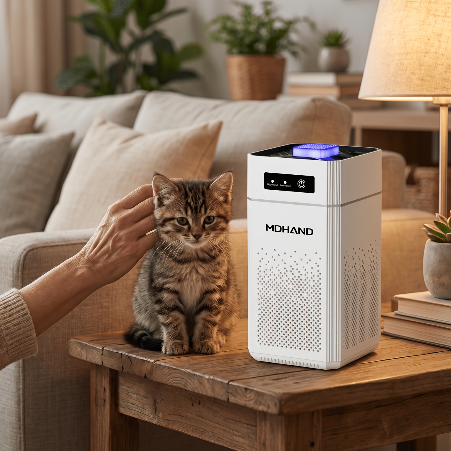 TEMU For Pet Owners, Hepa And Activated Carbon Filter, Removes Formaldehyde, Mold, Dust, And Odors, 500 MÂ³/ 120 MÂ², Particularly Quiet And