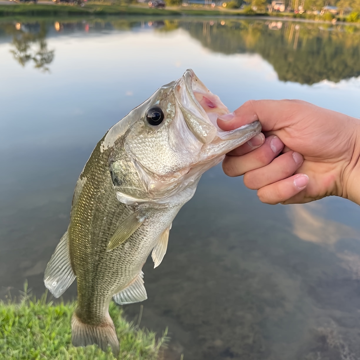 Lot De Leurres De Pêche – Mix D'Appâts Forme Poisson – Occasion