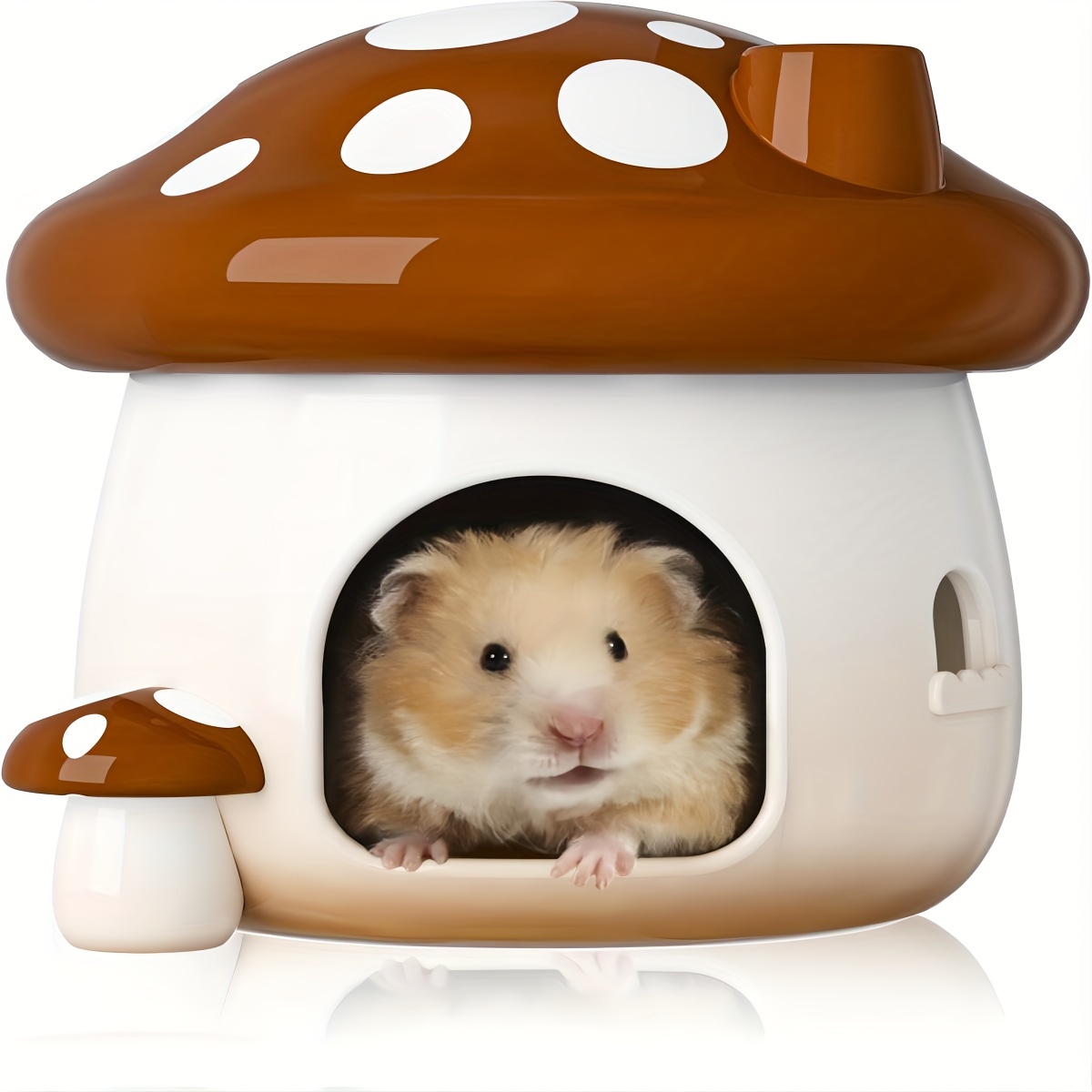 Gerbil shops beds