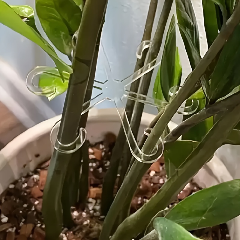 4 Stück Pflanzen-Stützstangen, Grüne Pflanzenhalter, Faltbare Hydrokultur-Blumenstützen