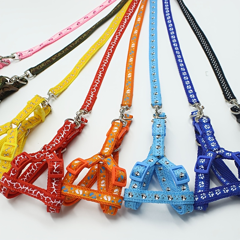 Stylish Pet Travel Gear Set with Printed Leash and Adjustable Harness