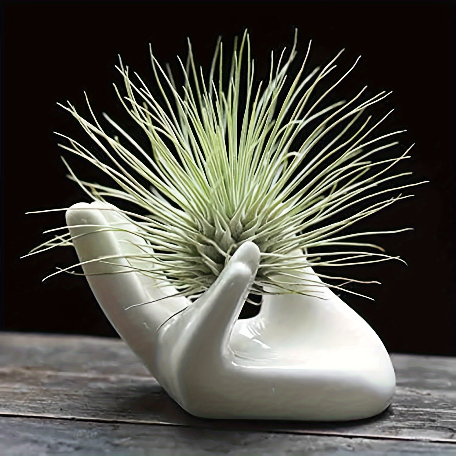 

4pcs Set Of Mini Ceramic Hand-shaped Air Plant Holders - Decorative White Stands For Desk, Table & Shelf Display