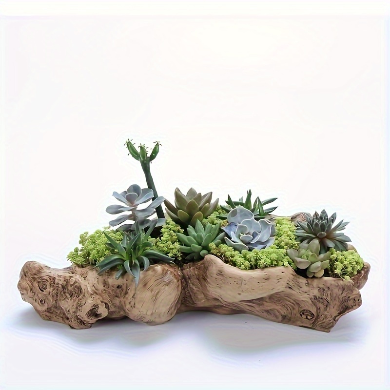 

1pc, Rustic Resin Succulent Planter, 14.2-inch Farmhouse Style Succulent Dish Garden, Classic Home Gardening Flower Pot With Custom Packaging