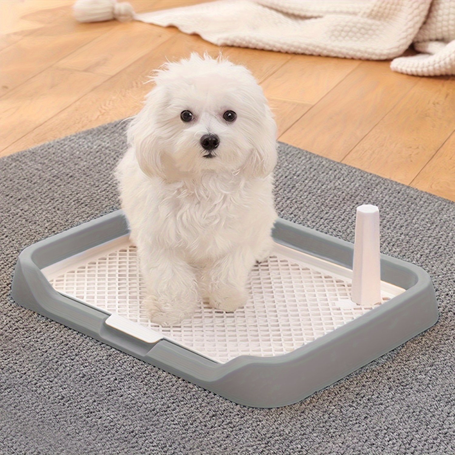 

[ ] - Dog Potty For Small & Breeds - , Plastic Pad