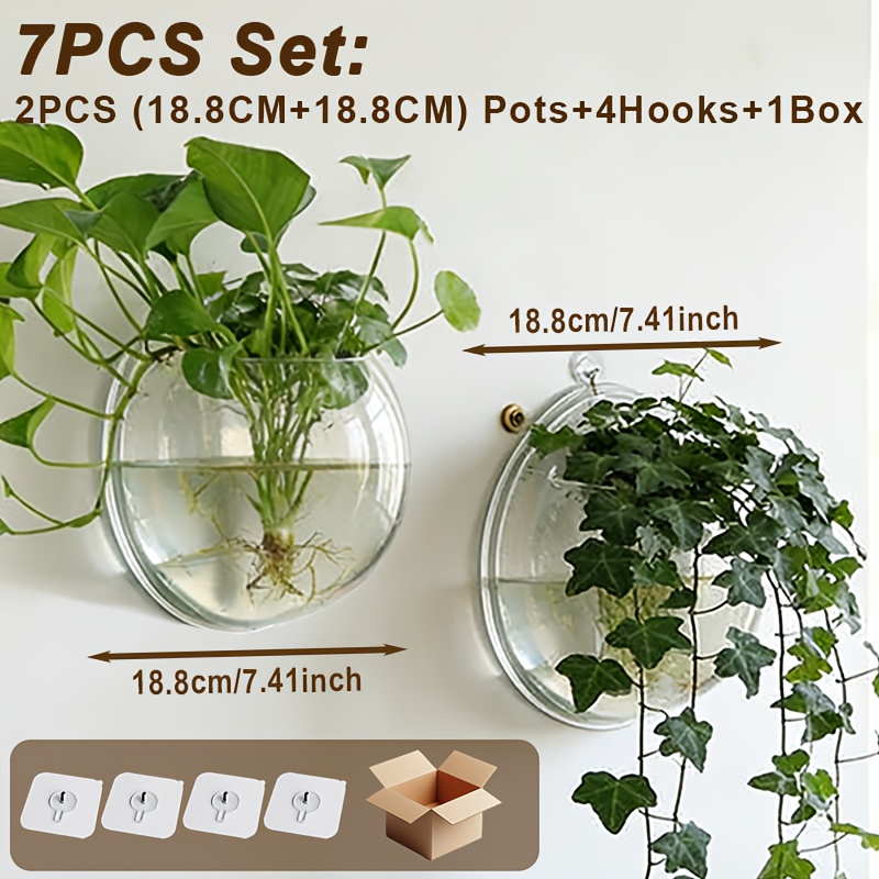 TEMU Transparent Wall-mounted Round Planter, Hydroponic, Floral Baskets, Clear Plastic Vase, Flower Basket, Indoor/outdoor Decorative Bonsai Stand,