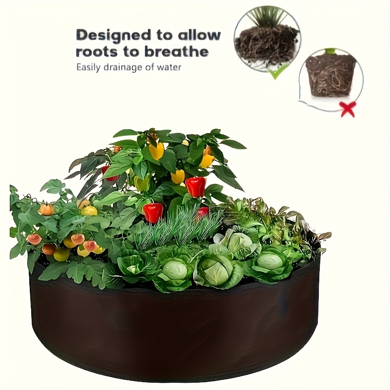 juniper procumbens nana bonsai tree Juniper Procumbens 'Nana' Bonsai Tree in Traditional Ceramic main image 1