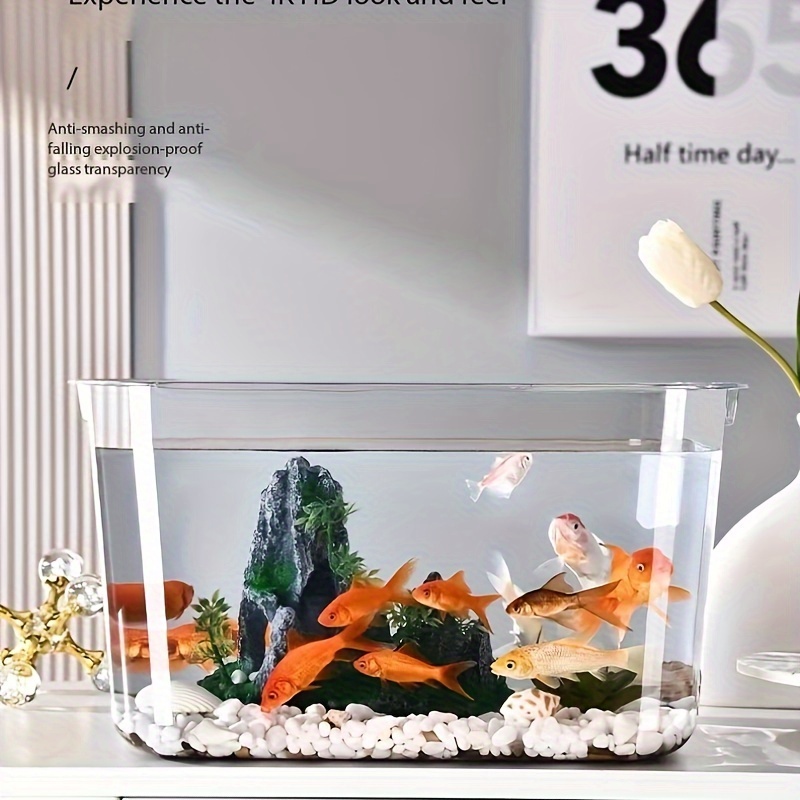 Goldfish Tank Tabletop Transparent Elliptical Hydroponic - Temu Malaysia