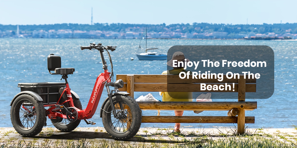 for adult rear high power brushless motor 19mph commuter e bike 48v 18ah cells battery pickup class 500 lb load   with 20 tire and large basket 60 miles range for city and   halloween gift   Product details 2