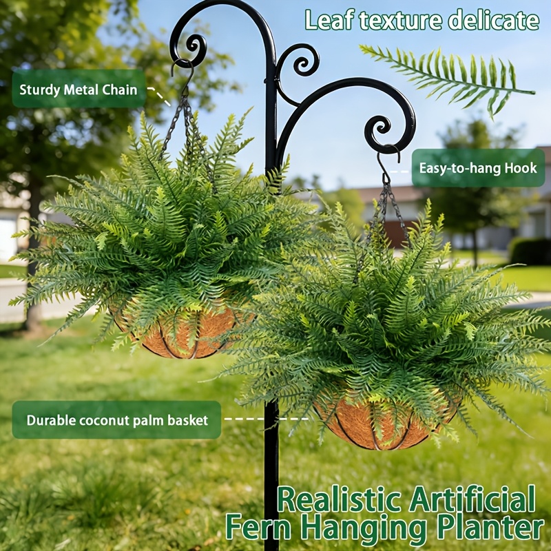 majesty palm indoor plant Majesty Palm (Gallon Sizes)  Panhandle Palm & Rock