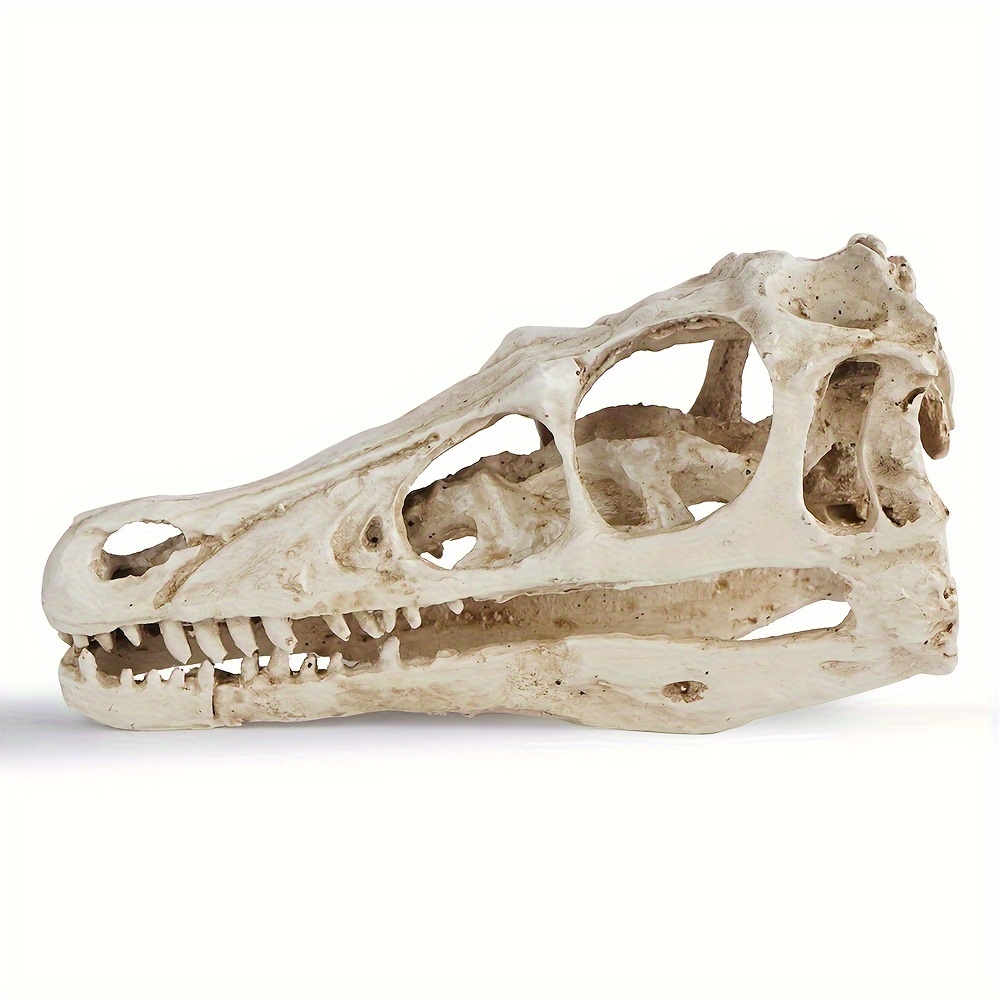 

1pc, Velociraptor Resin Ornament, Vintage Style Dinosaur Head Bone Sculpture, Home Decor, Halloween Gift, Jurassic Animal , Festive Holiday Present Gift