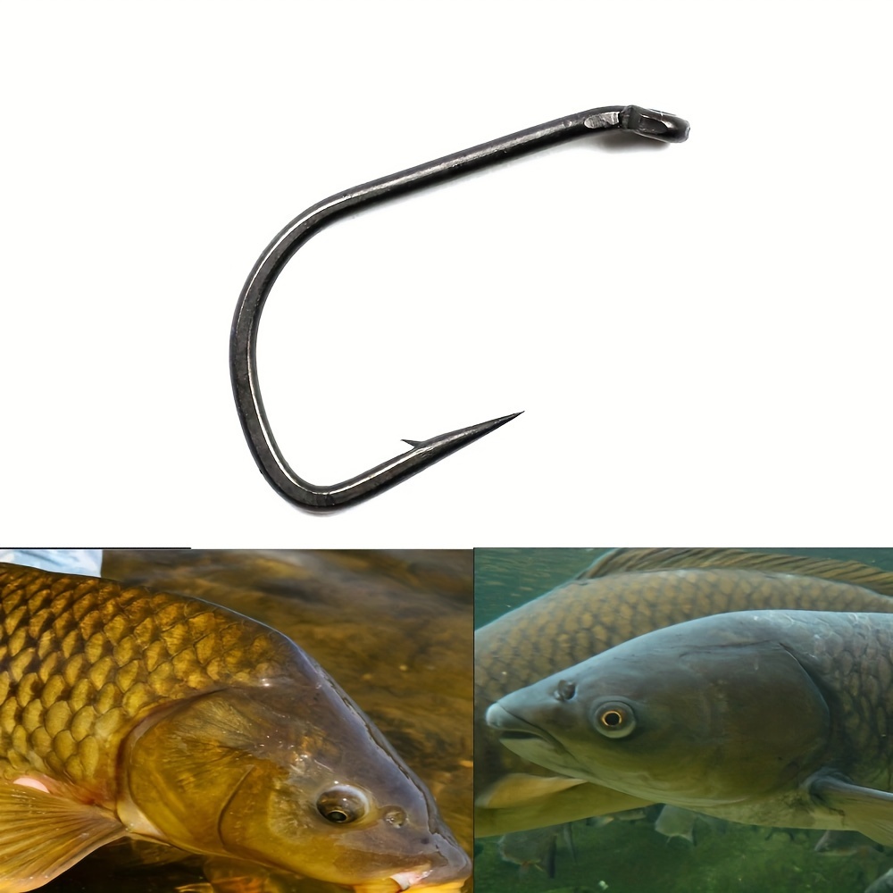 dobyns bass top water rod Dobyns Rods Products