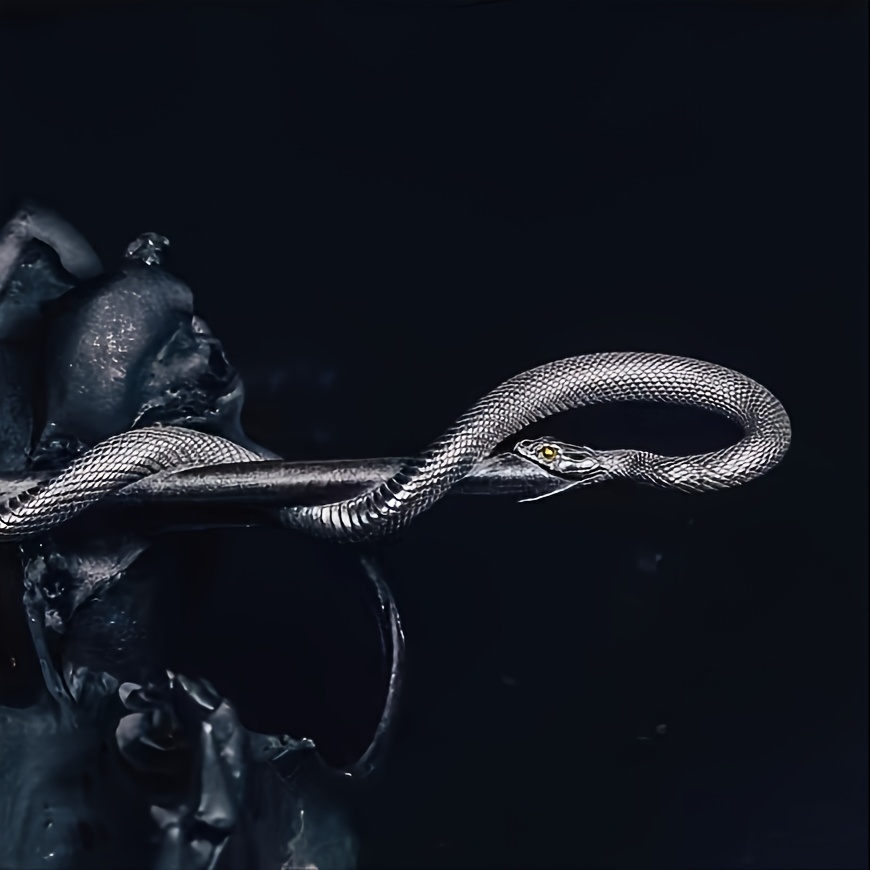 TEMU A Stylish Vintage Chinese-style Versatile Coiled Snake Hairpin A65