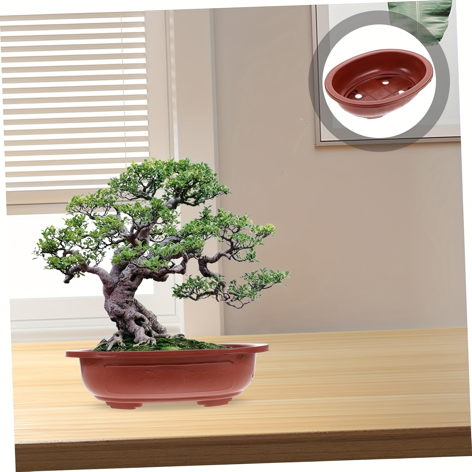 4 large oval bonsai training pots drainage holes indoor - Temu