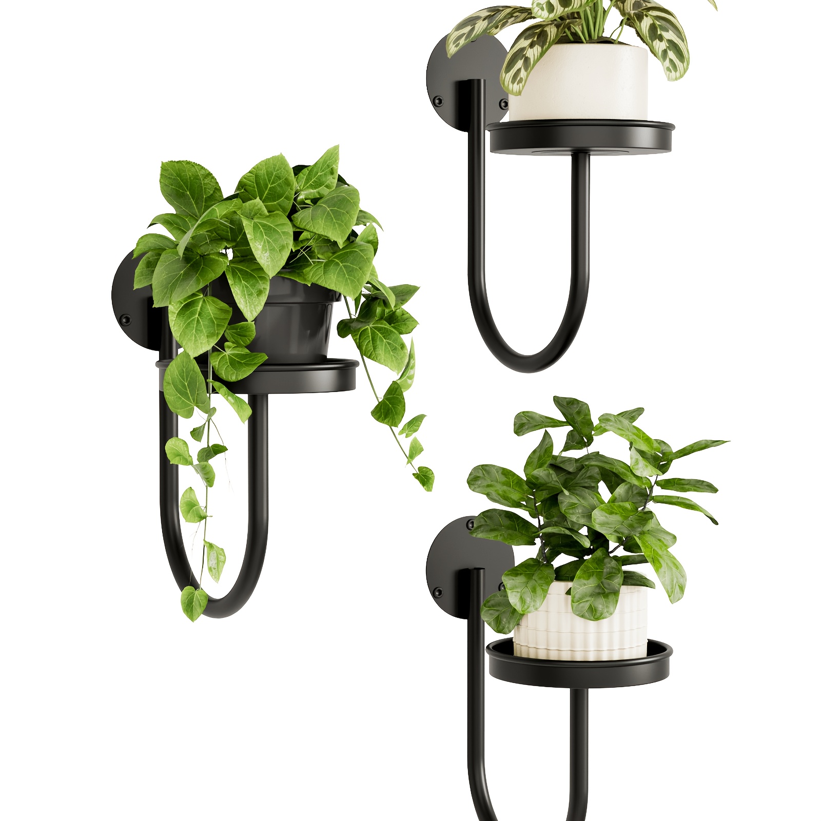 TEMU 3 Pack Black Wall Plant Holder, Wall Planters And Plant Hanger For Indoor Plants, Suitable As Indoor Window Plant Shelves, Hanging Plant Holder,