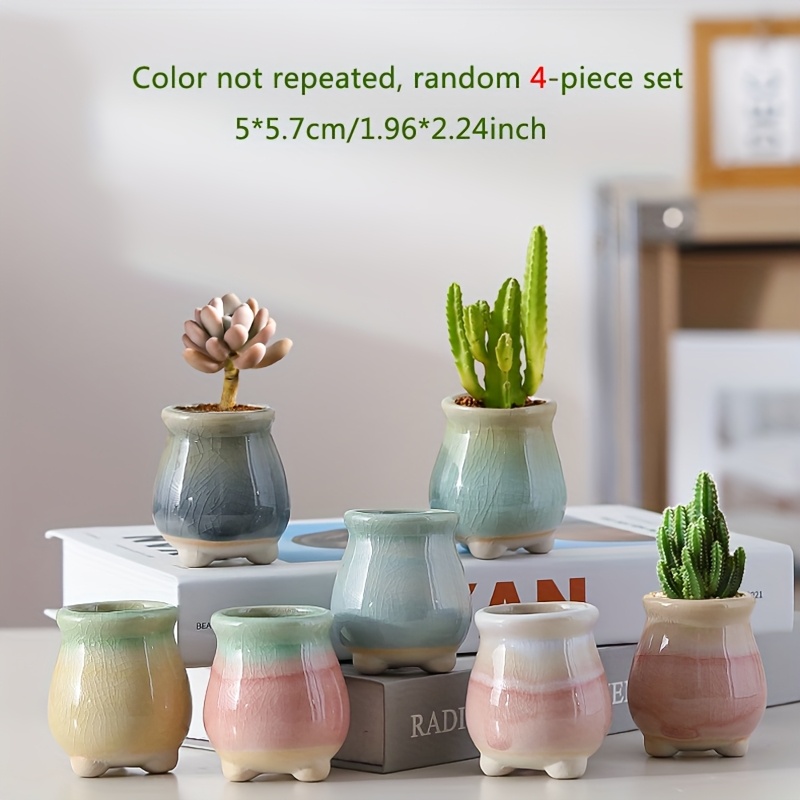TEMU Ensemble de pots de fleurs succulentes, petit style frais de style japonais, ensemble aléatoire de 4/6 mini pots de fleurs en céramique colorés