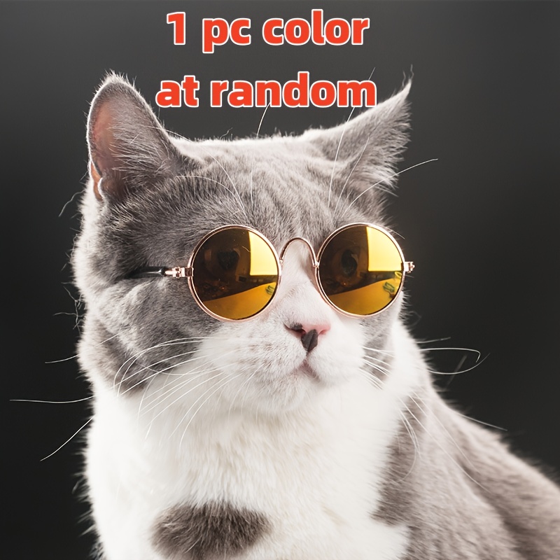 1 Random Color Pet Cat Fashion Glasses - Trendy Cool Accessory For Photoshoots And Stylish Looks