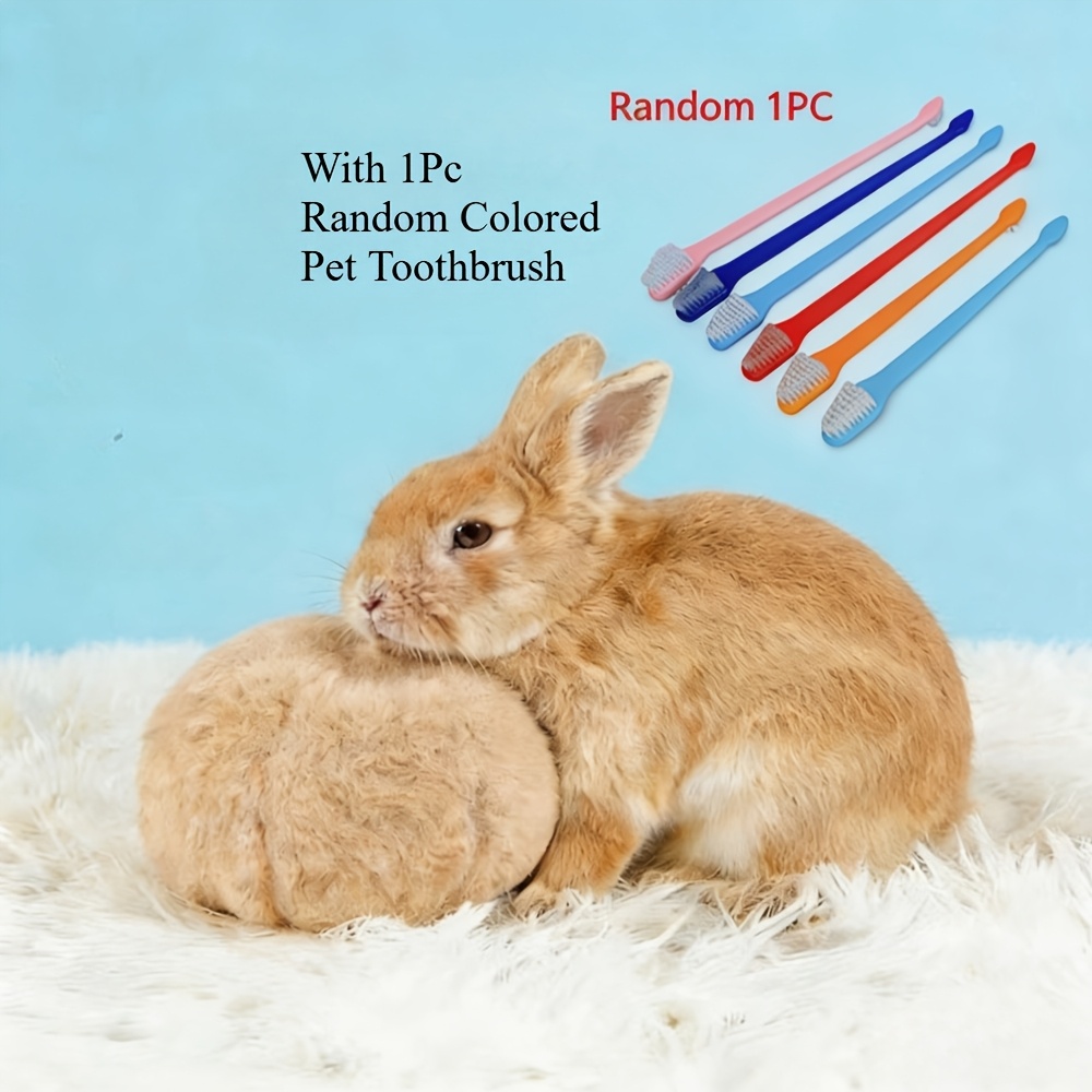 TEMU Tjy Rabbit Soothing Ball & Bed, With 1pc Random Colored Pet Toothbrush