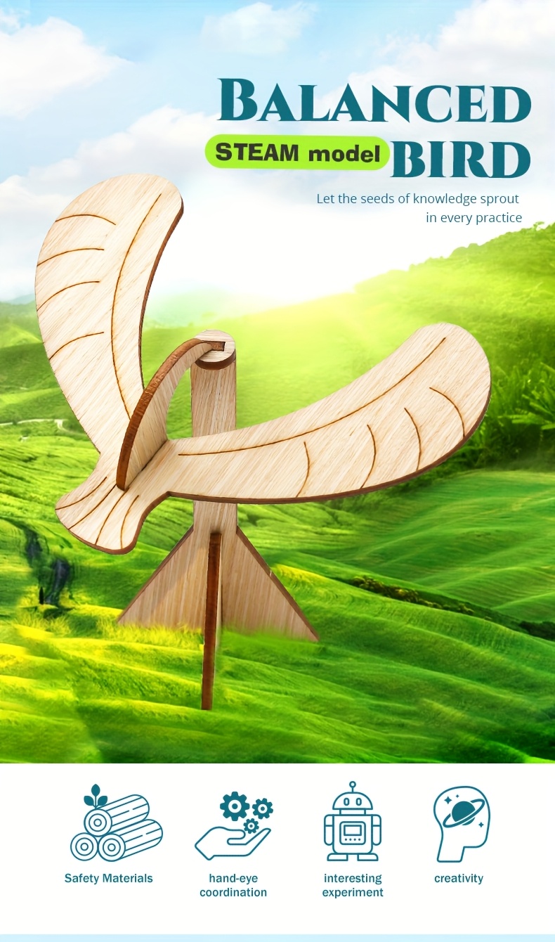 1pc wooden bird steam experiment diy handcrafted Temu Australia