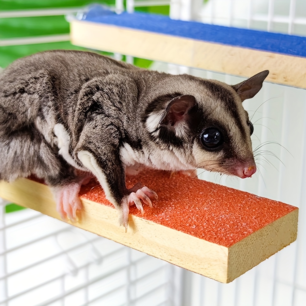 glider toys sugar glider products