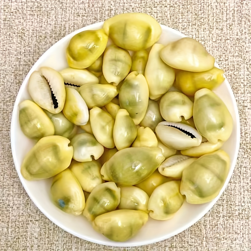 30pcs Yellow Conch Shells Suitable For Making, Bohemian Crafts, Crafts For, Wreaths, Home Decor - Mixed Sizes Seashells For Resin, Gift Boxes, Decorations