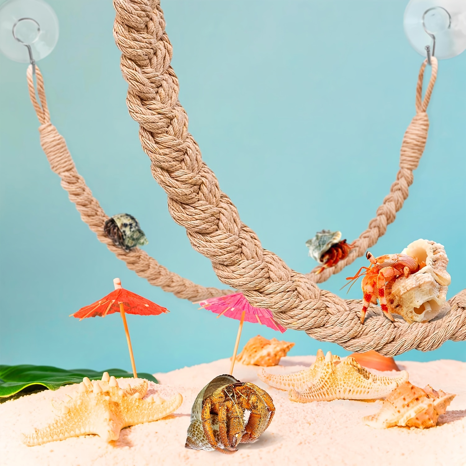 

Hermit Crab Climbing Rope Ladder - Natural Plant Material, Reptile Tank Accessory & Habitat Decor For Tree Frogs