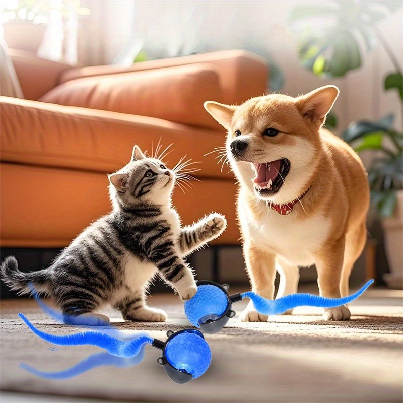 1pc MIAOQUANJI Interactive Cat Toy with Automatic Rolling Ball - USB Rechargeable, Smart Tail Ball for Indoor Cats, Durable Plastic, All Breeds & Sizes, Interactive Playtime, Cat Toy, Playful Design, Smooth Surface 10 1pc MIAOQUANJI Interactive Cat Toy with Automatic Rolling Ball - USB Rechargeable, Smart Tail Ball for Indoor Cats, Durable Plastic, All Breeds & Sizes, Interactive Playtime, Cat Toy, Playful Design, Smooth Surface - Image 10