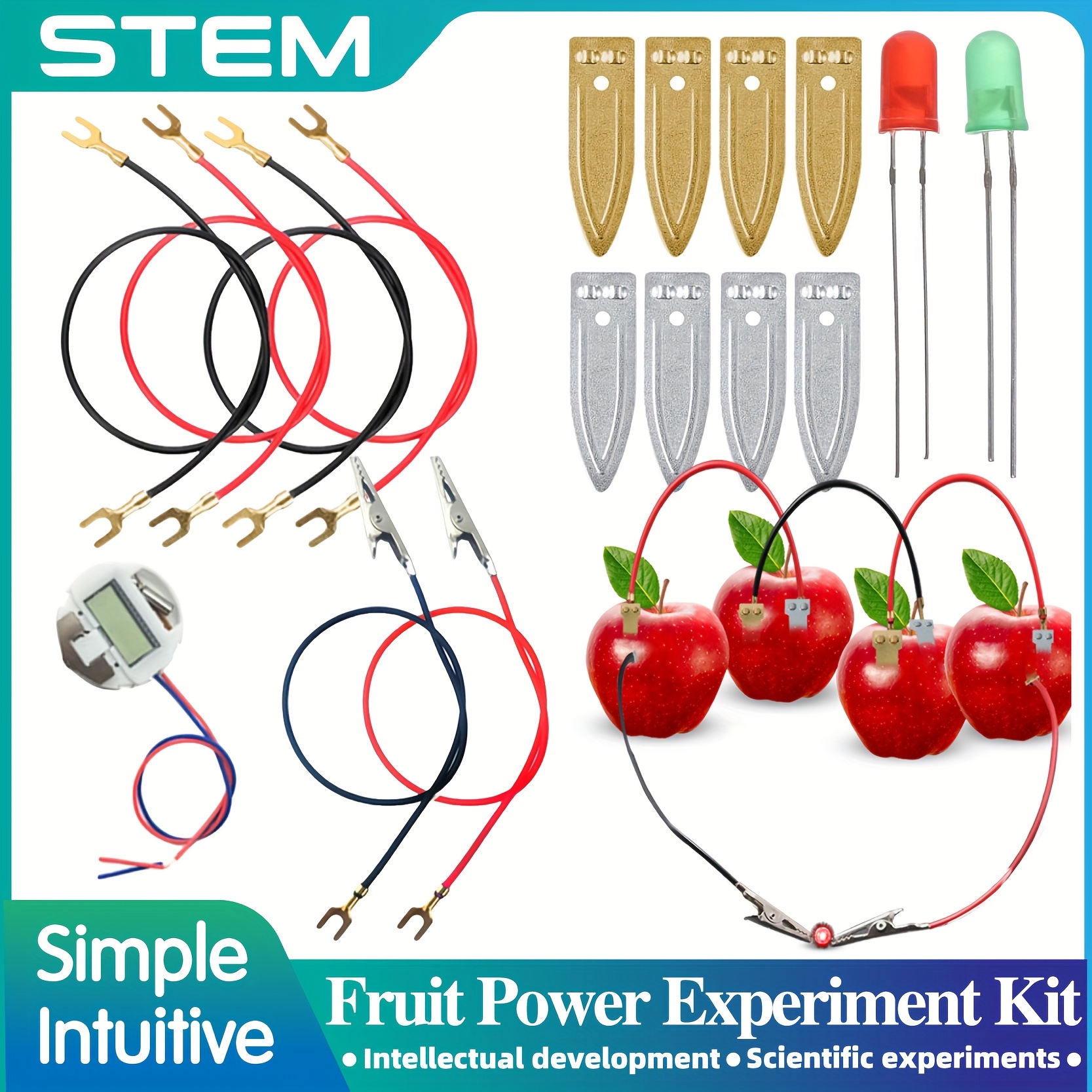 

Kits scientifiques STEM pour les expériences sur les fruits, kits de d' verte alternative, éducatifs de et d'électricité, et matériel pour les expériences scientifiques alimentées par les fruits.