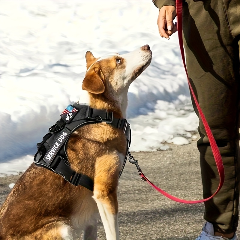 Adjustable Dog Chest Strap with Reflective Strip, Outdoor Training