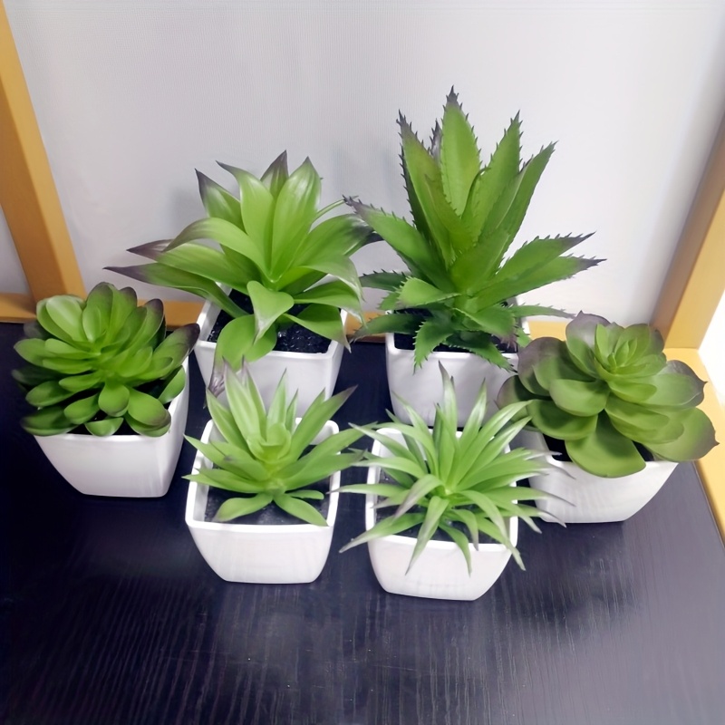 indoor succulent planter with drainage Modern Planter with drainage and tray 3D Printed with Drip Tray Modern   LGBTQ Outpost