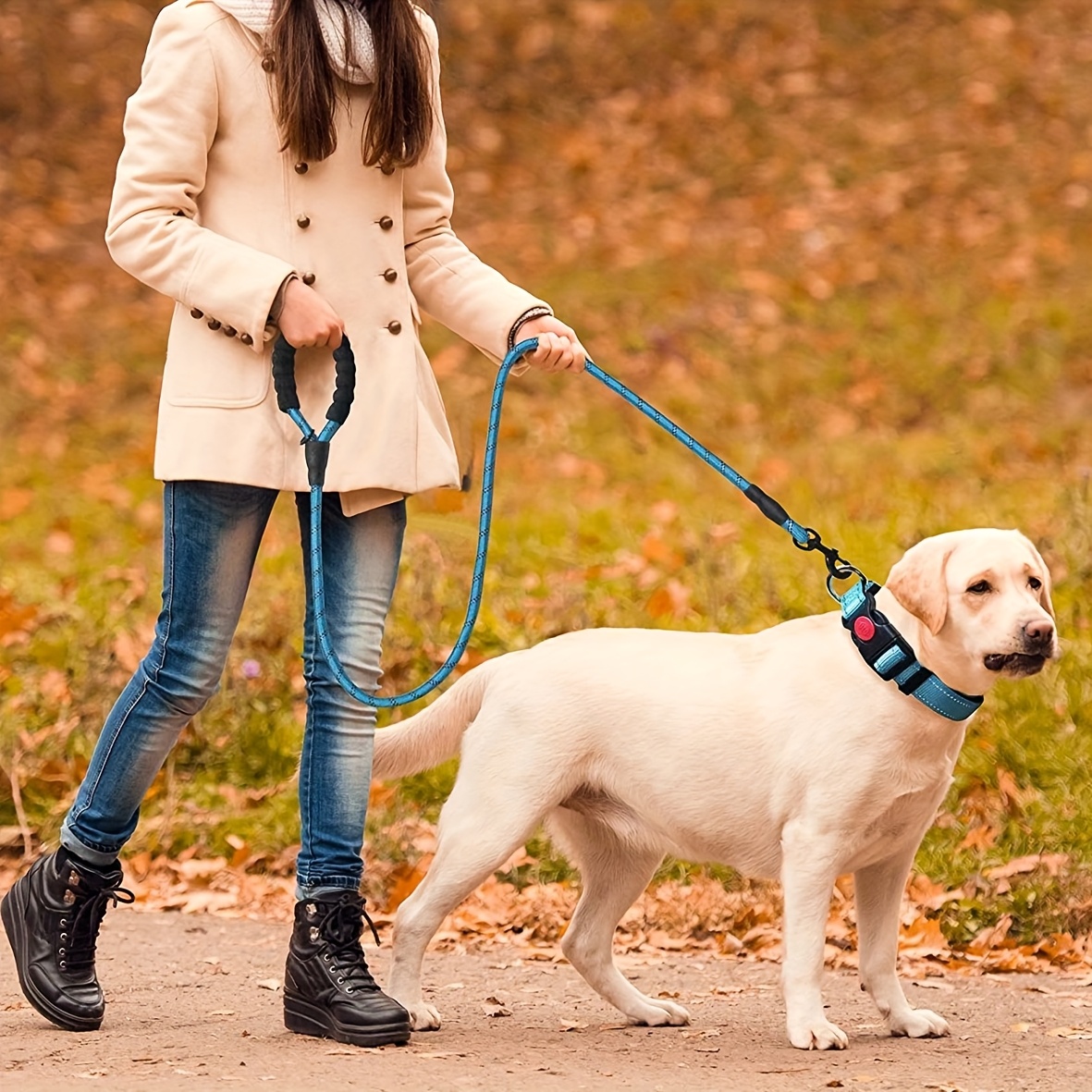 Reflective Breathable Dog Collar and Lead Set, Adjustable Leash