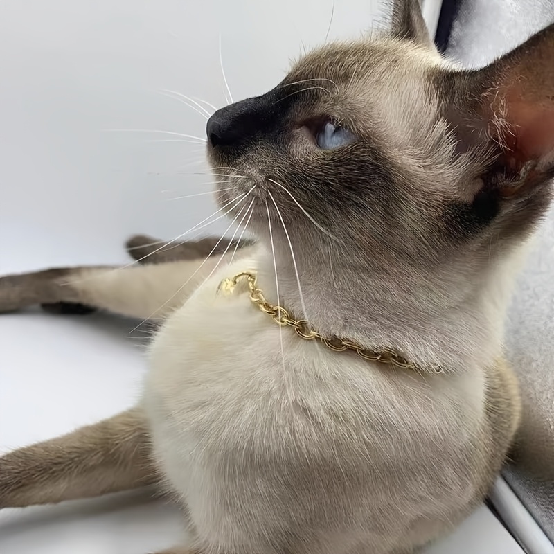 1 versatile cat collar chain adjustable   necklace golden or silvery heart shaped pendant suitable for pet cats kittens and small dogs Product details 7