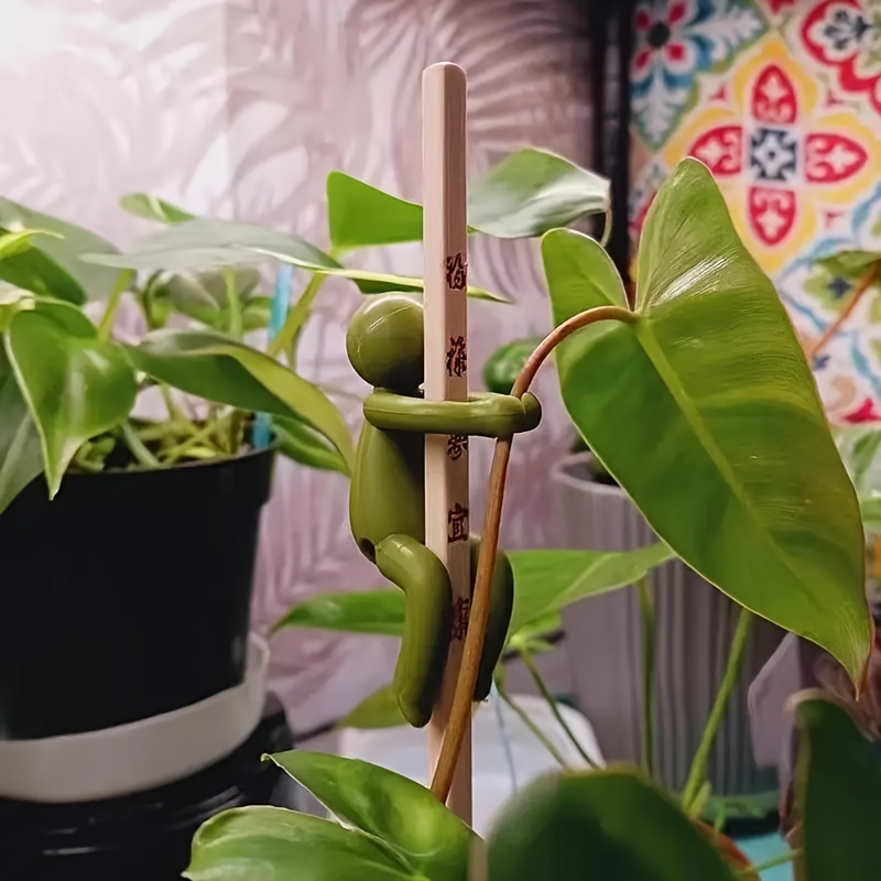 campsis flava plant Campsis radicans 'Flava' – Armstrong Garden Centers