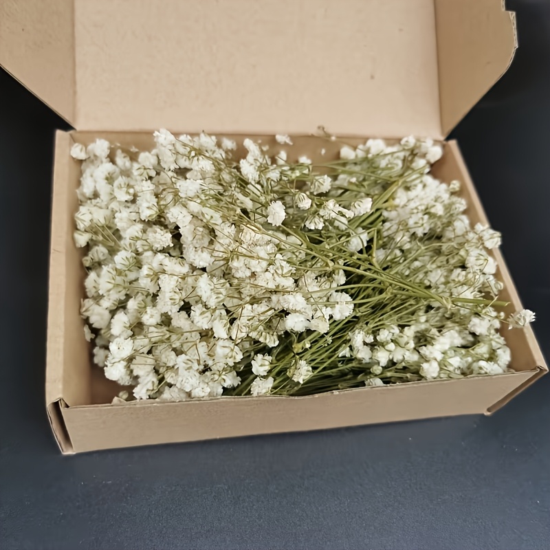 Image of 113pcs Natural Dried Mini Gypsophila Suitable For Diy Wedding Bouquets, Baby' Breath Flowers, Boho Pampas Grass Arrangements, Card Making, - Baby' Breath Bouquet, For Crafts, Wedding Party Decoration