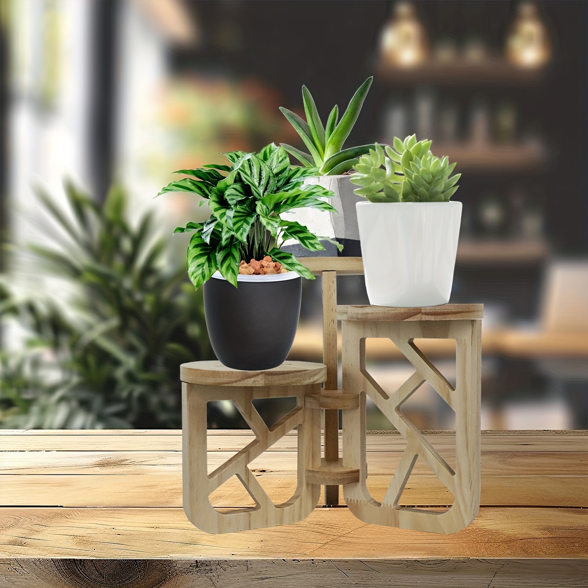 bonsai stand - Austria