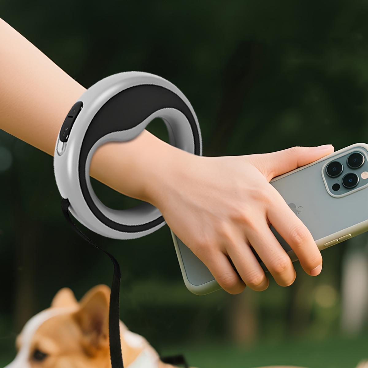 One 2.5-meter Retractable Leash with a Circular Ring, One-click Lock, and Free Adjustable Length. A Hand-loop Style Lead Suitable for Taking Small Dogs for Walks