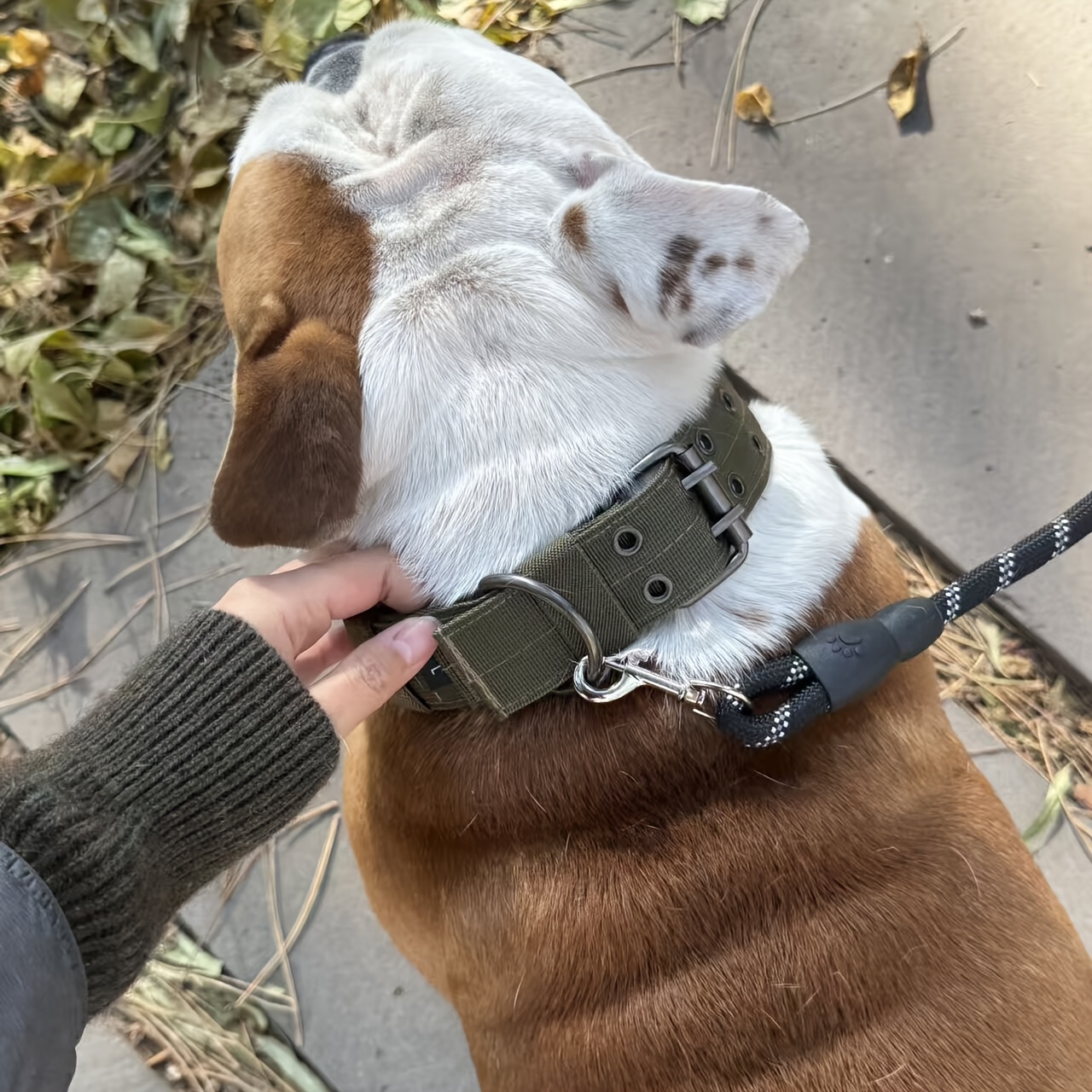 Adjustable Heavy Duty Dog Collar and Leash Set with Reflective Training Leash