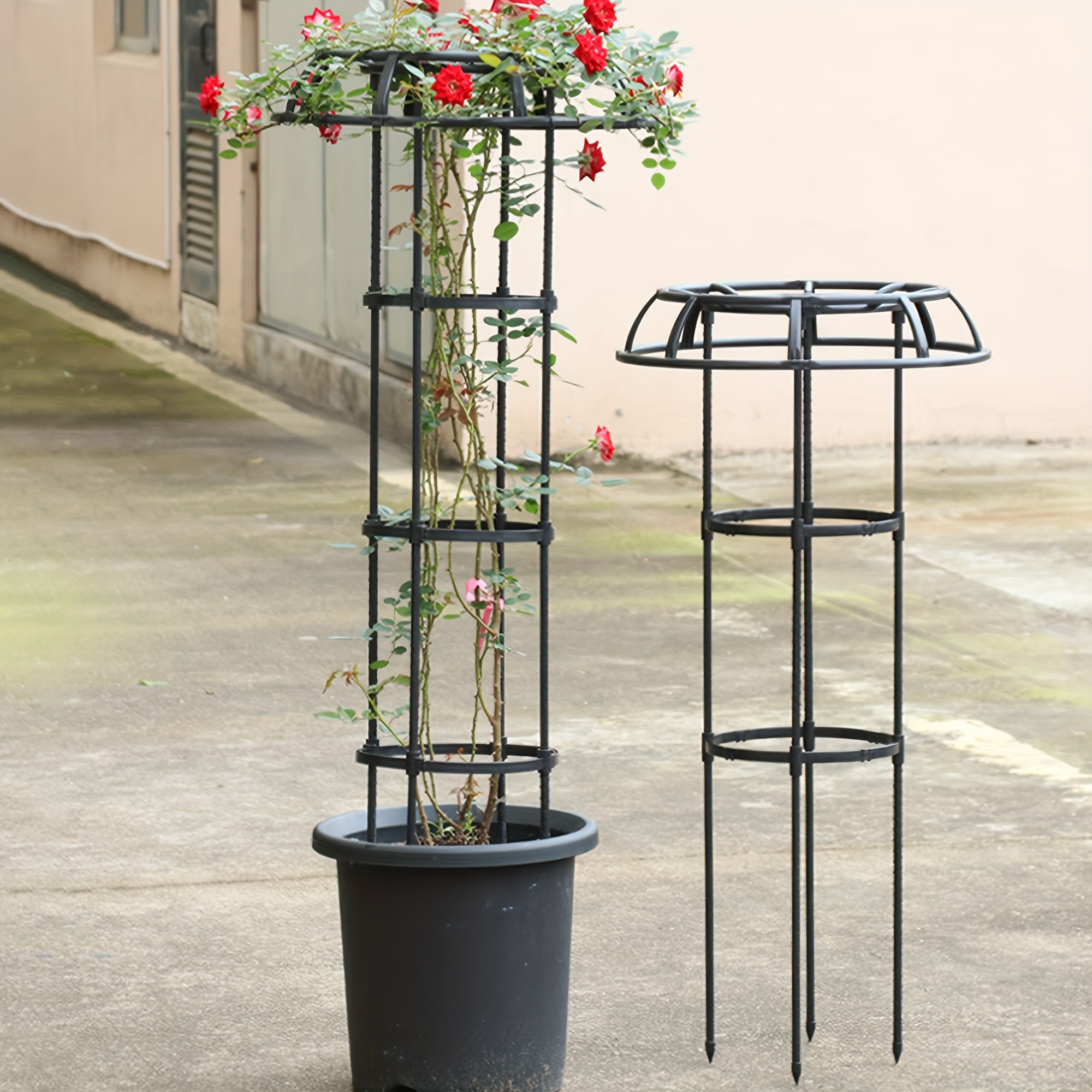 Mushroom Top Climbing Support Frame