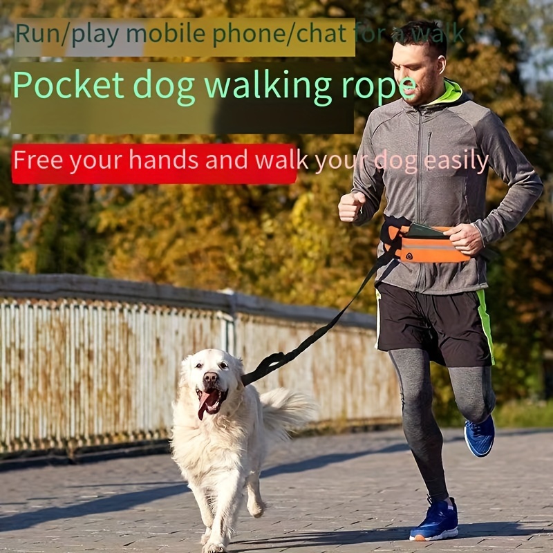 Outdoor dog outlet leash run