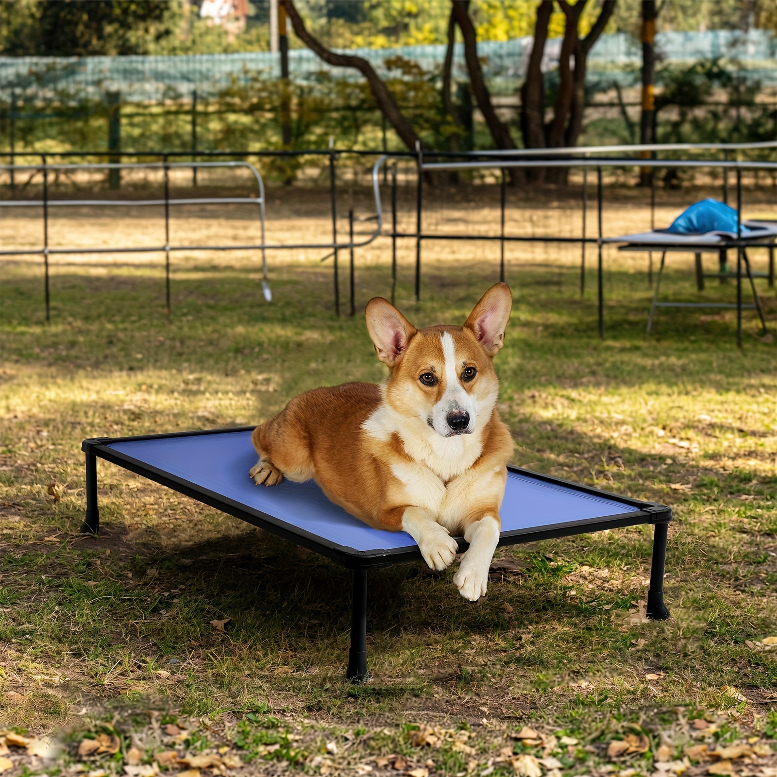 chew proof elevated dog bed raised dog Temu