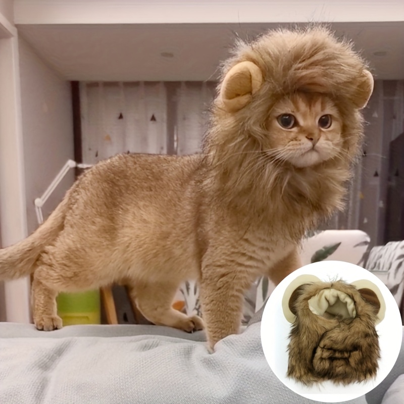 cat with lion mane sold on Temu New Zealand