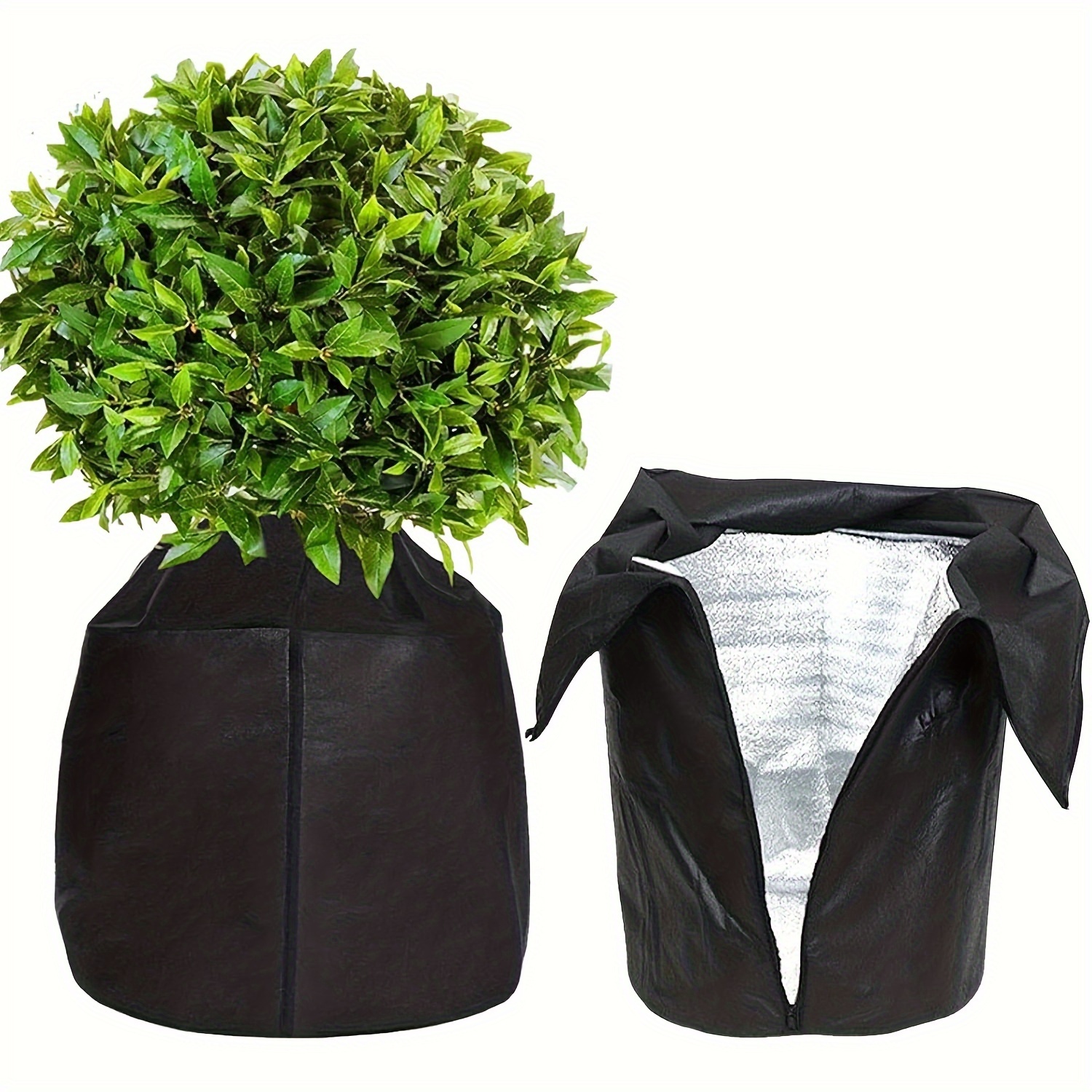 

Pot les Plantes, Hiver Plantes en Pot, Sac de des Plantes en Pot, des Plantes Hiver Extérieur