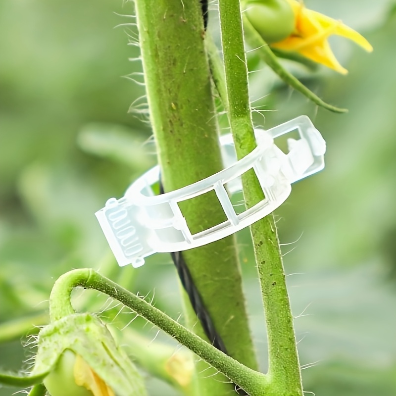 Lot De 20 Clips De Greffage Pour Plantes Grimpantes Parfaites